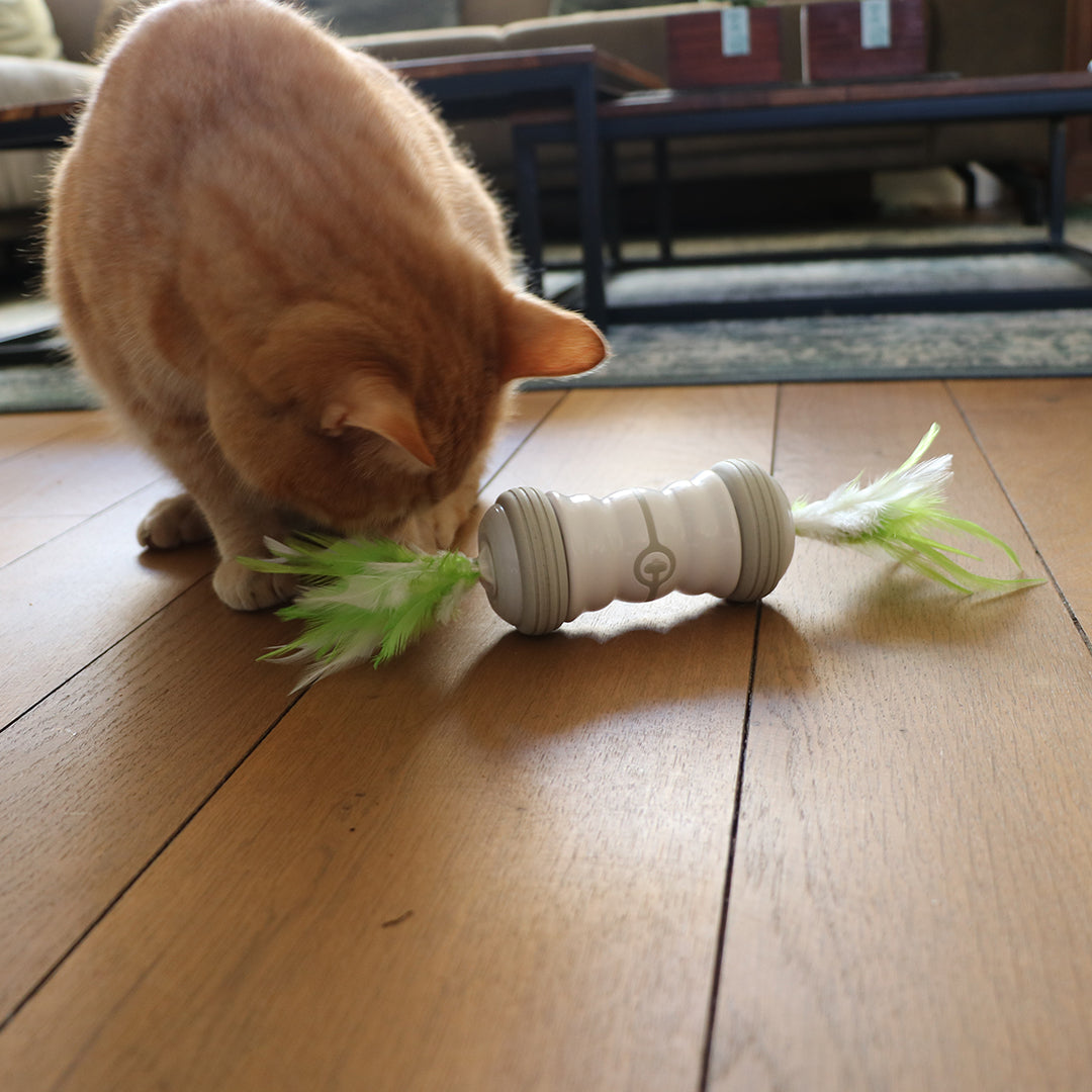 double-spinner-kattenspeeltje
