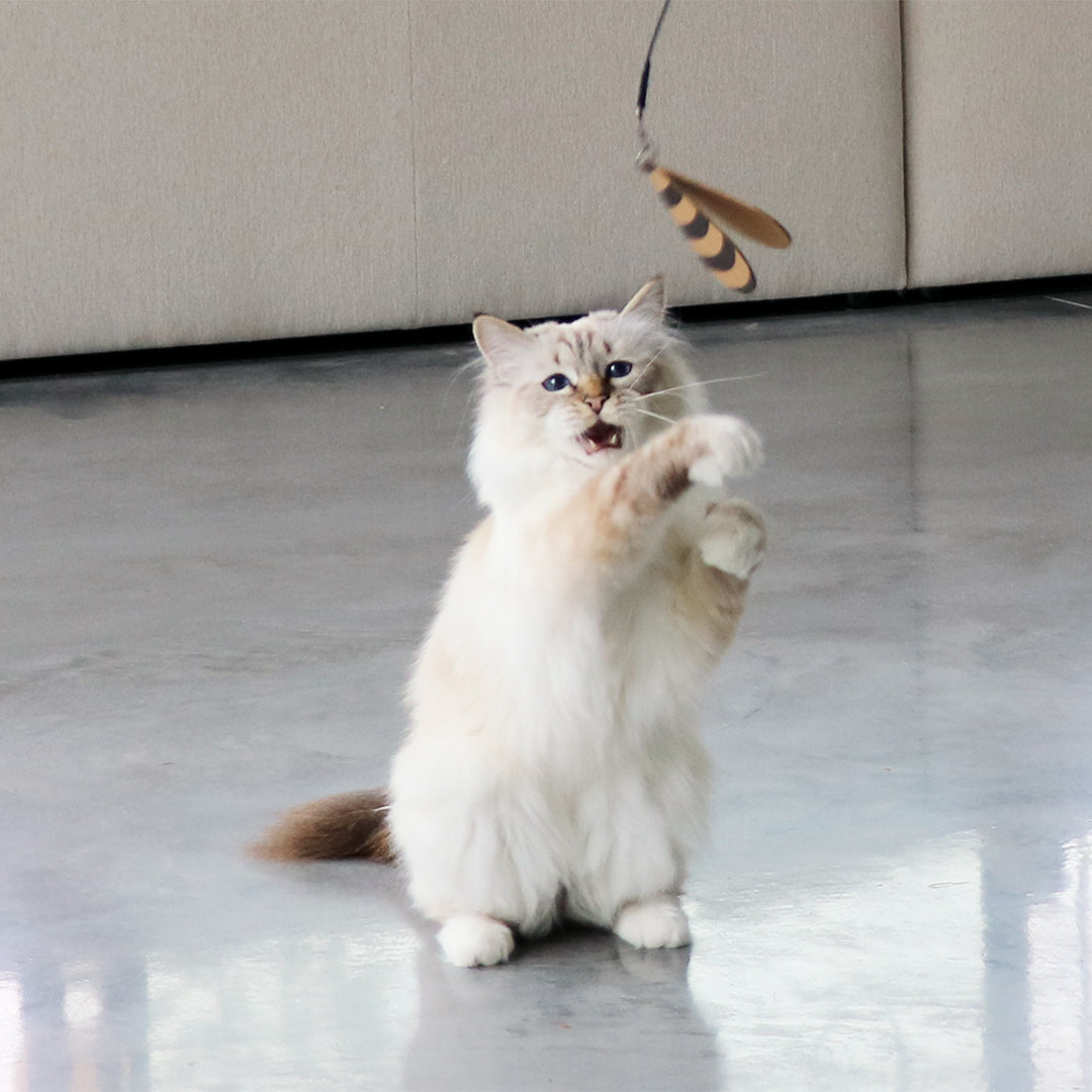 CONNOR_Telescopische_hengel