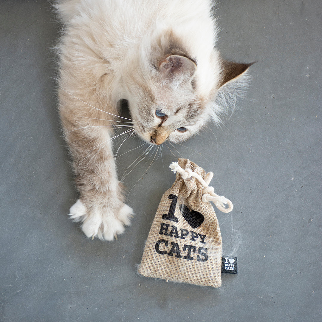 i-love-happy-cats-buidel
