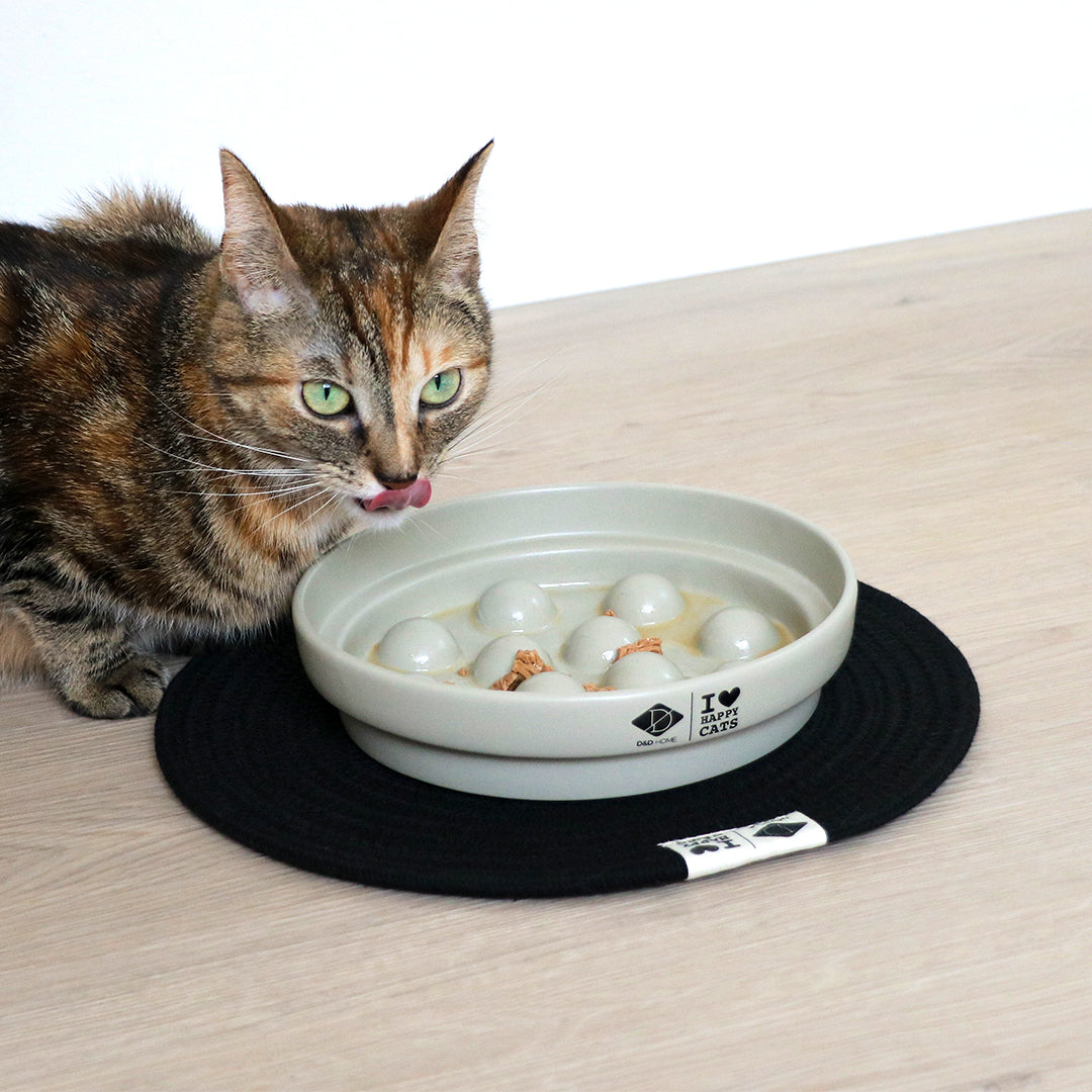 SUE_Slow_feeder_stip
