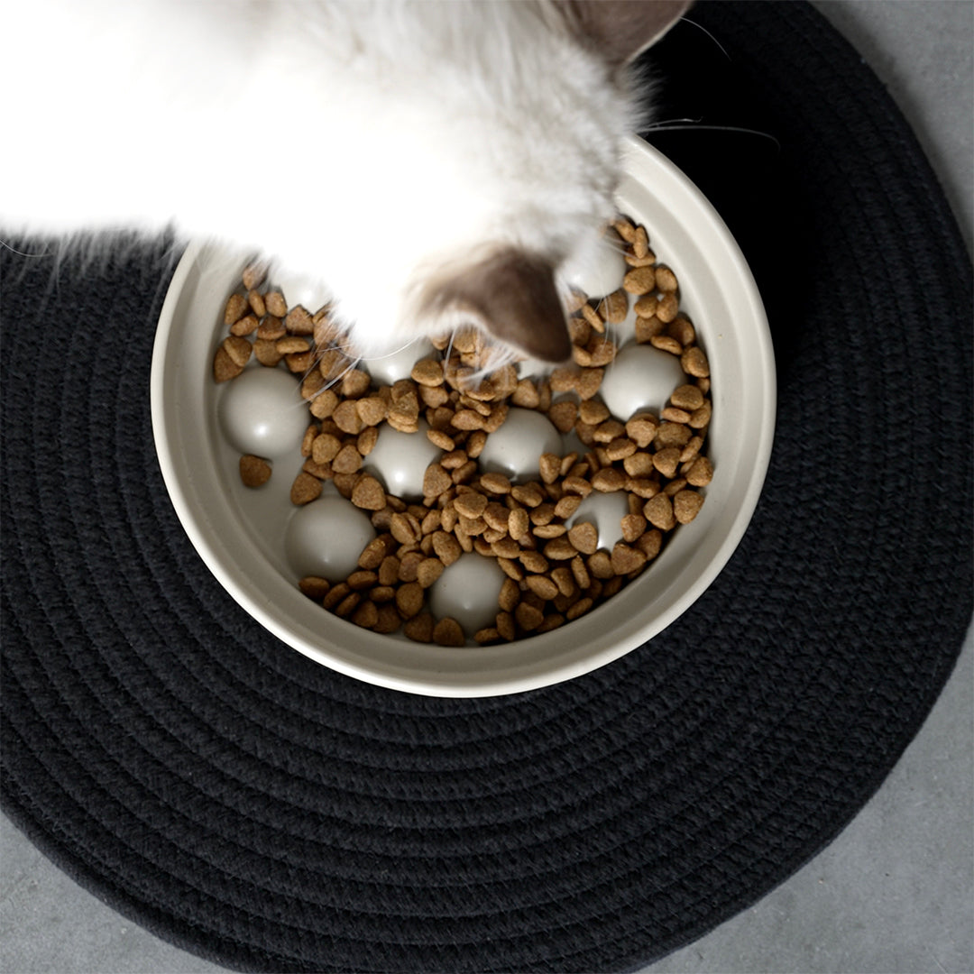 SUE_Slow_feeder_stip