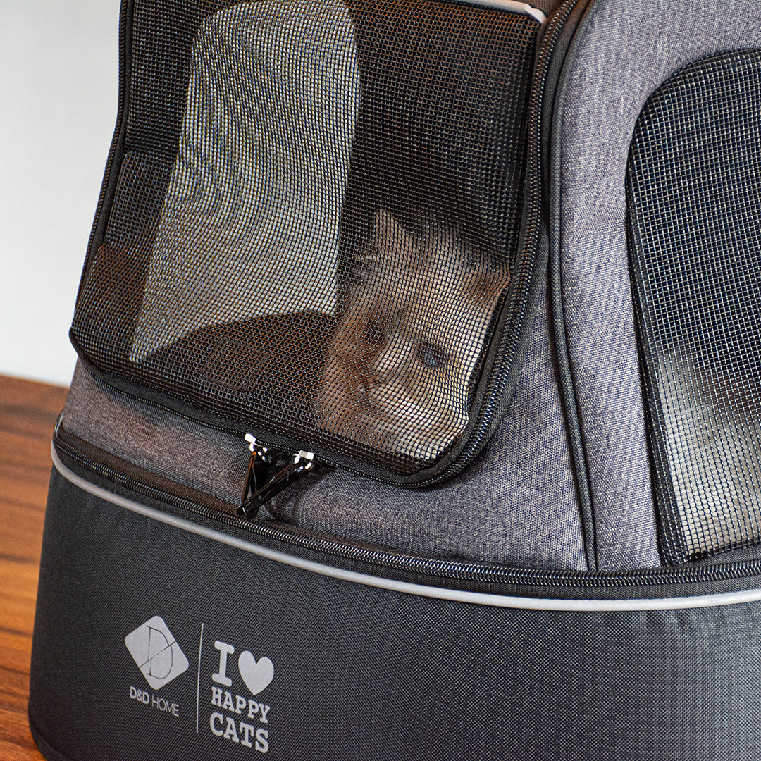PHOEBE_Kattentransporttas