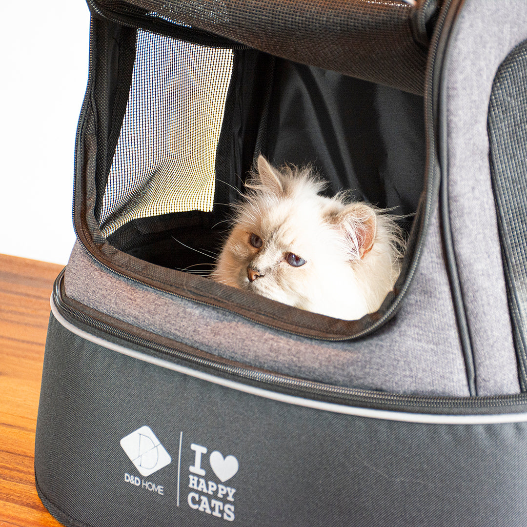 PHOEBE_Kattentransporttas