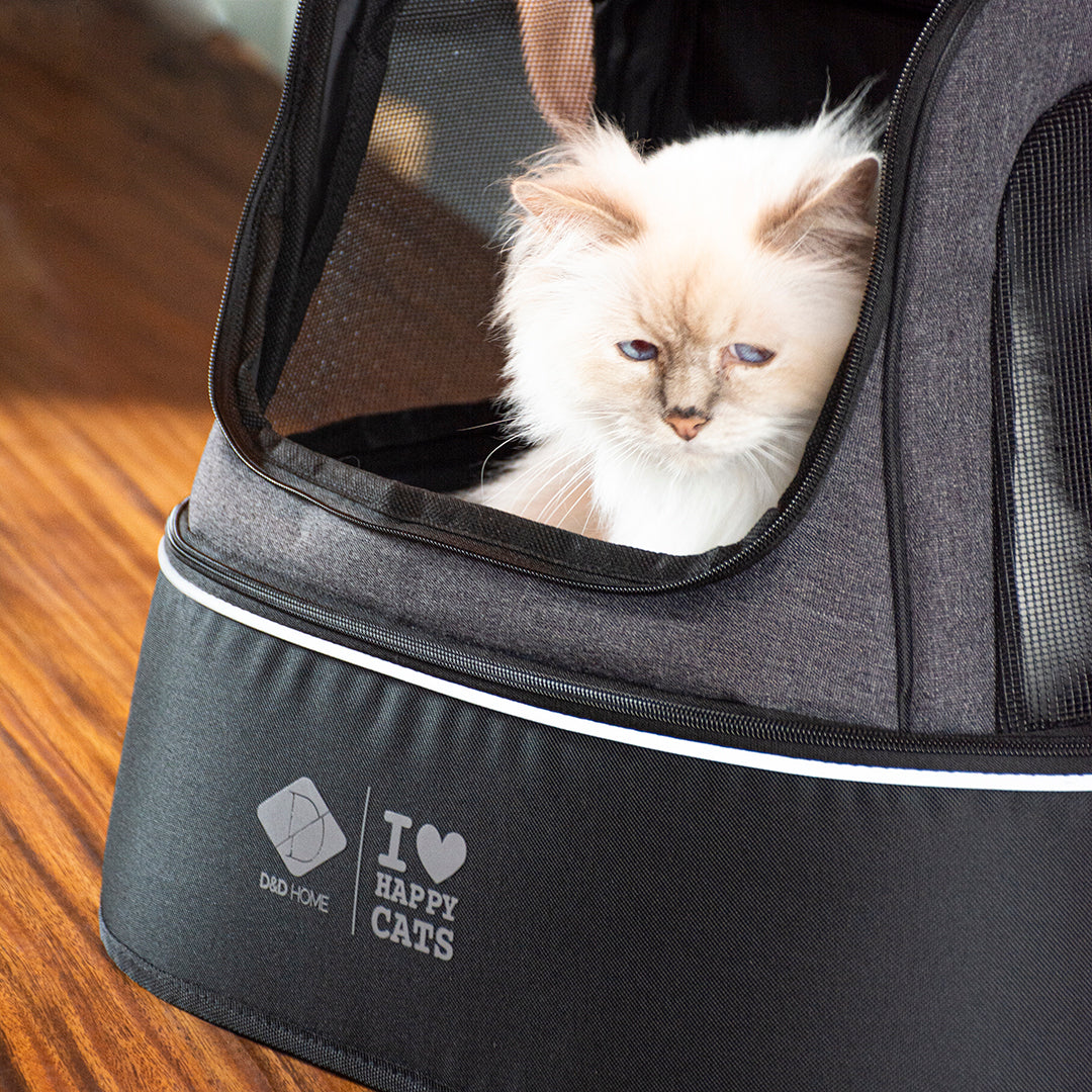 PHOEBE_Kattentransporttas