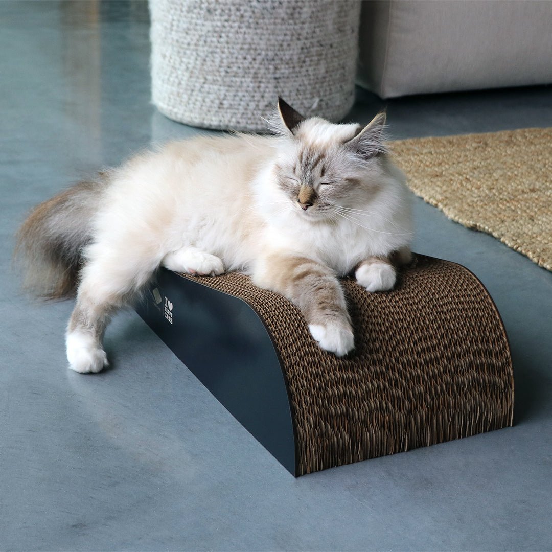 ARCHIE - Krabplanken Krabplanken D&D Home - I LOVE Happy Cats