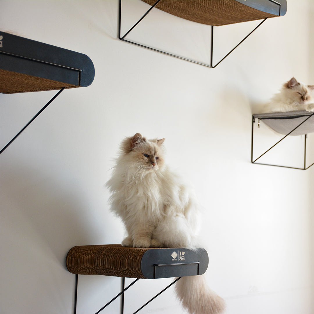 DAVID - wandplank Krabplanken D&D Home - I LOVE Happy Cats
