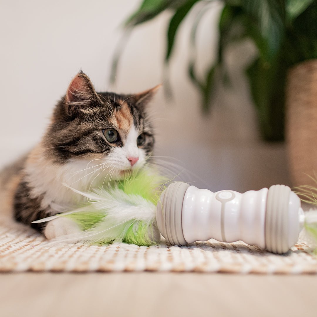 Double spinner kattenspeeltje Elektronische speeltjes Ebi