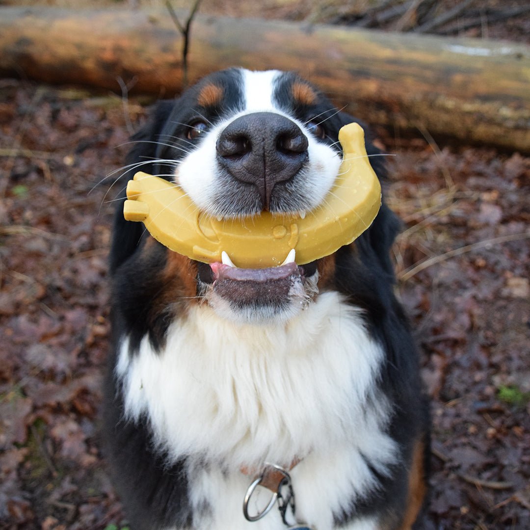 Garden Bites Fruity friends Snacks Garden Bites
