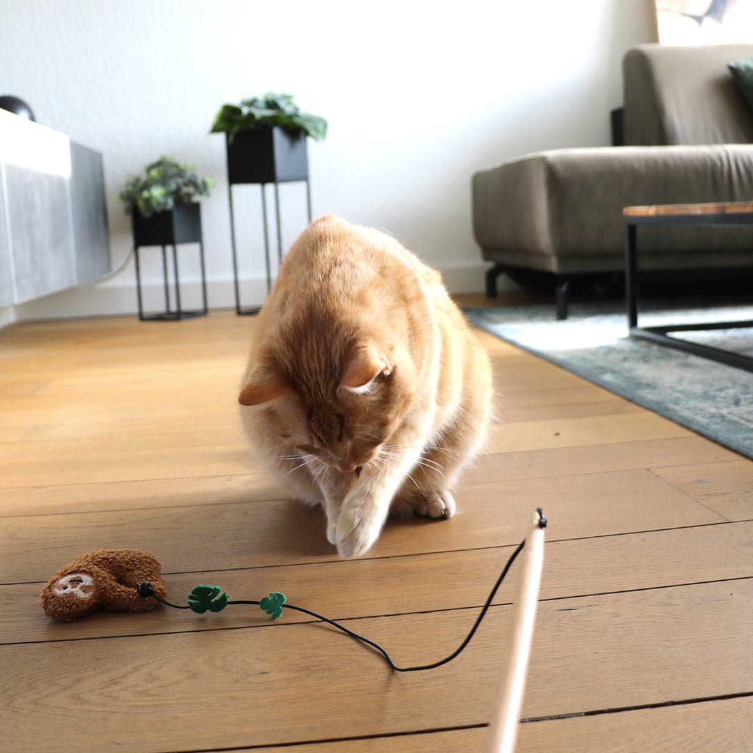 Lento Luiaard speelhengel Kattenspeelgoed D&D Home