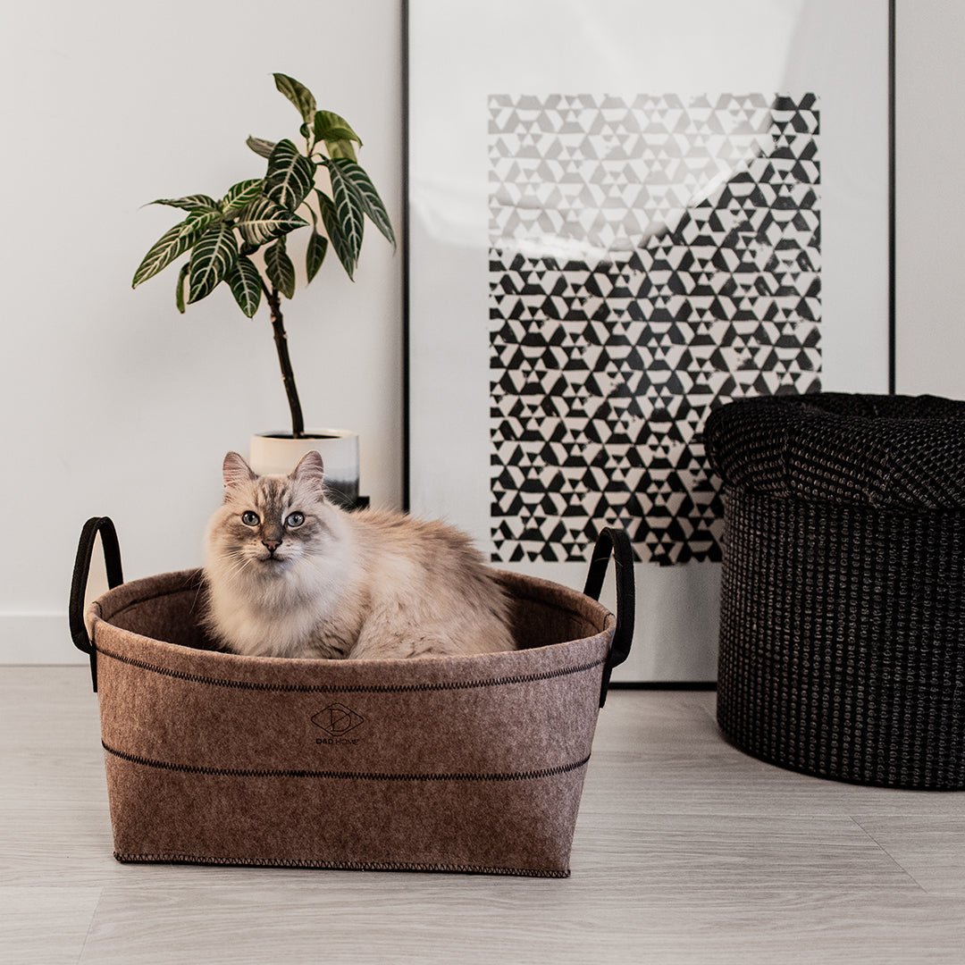 Monique vilten mand Kattenmanden D&D Home