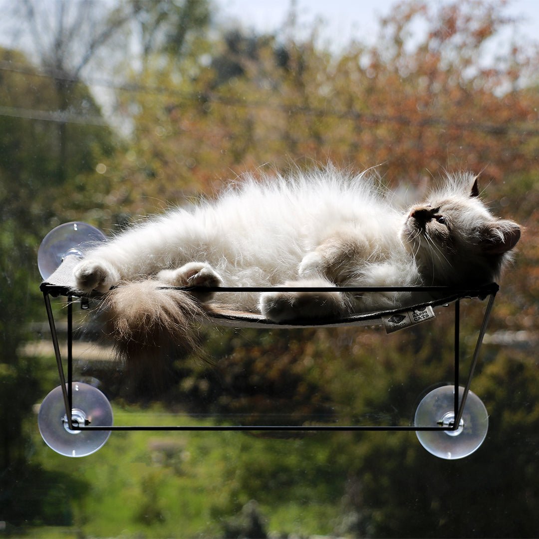 OLIVIA - Raamhangmat Kattenmanden D&D Home - I LOVE Happy Cats