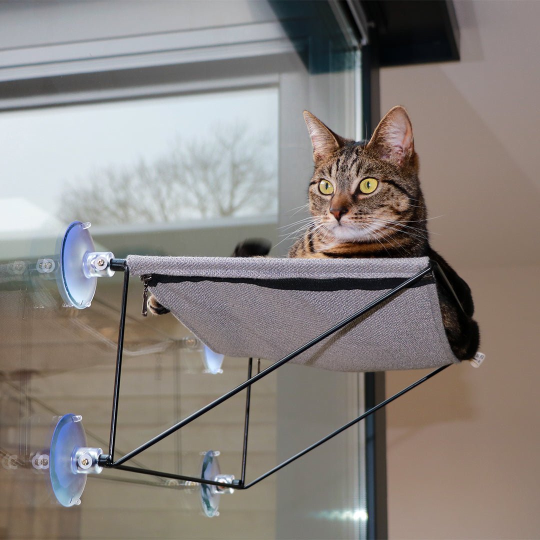 OLIVIA - Raamhangmat Kattenmanden D&D Home - I LOVE Happy Cats