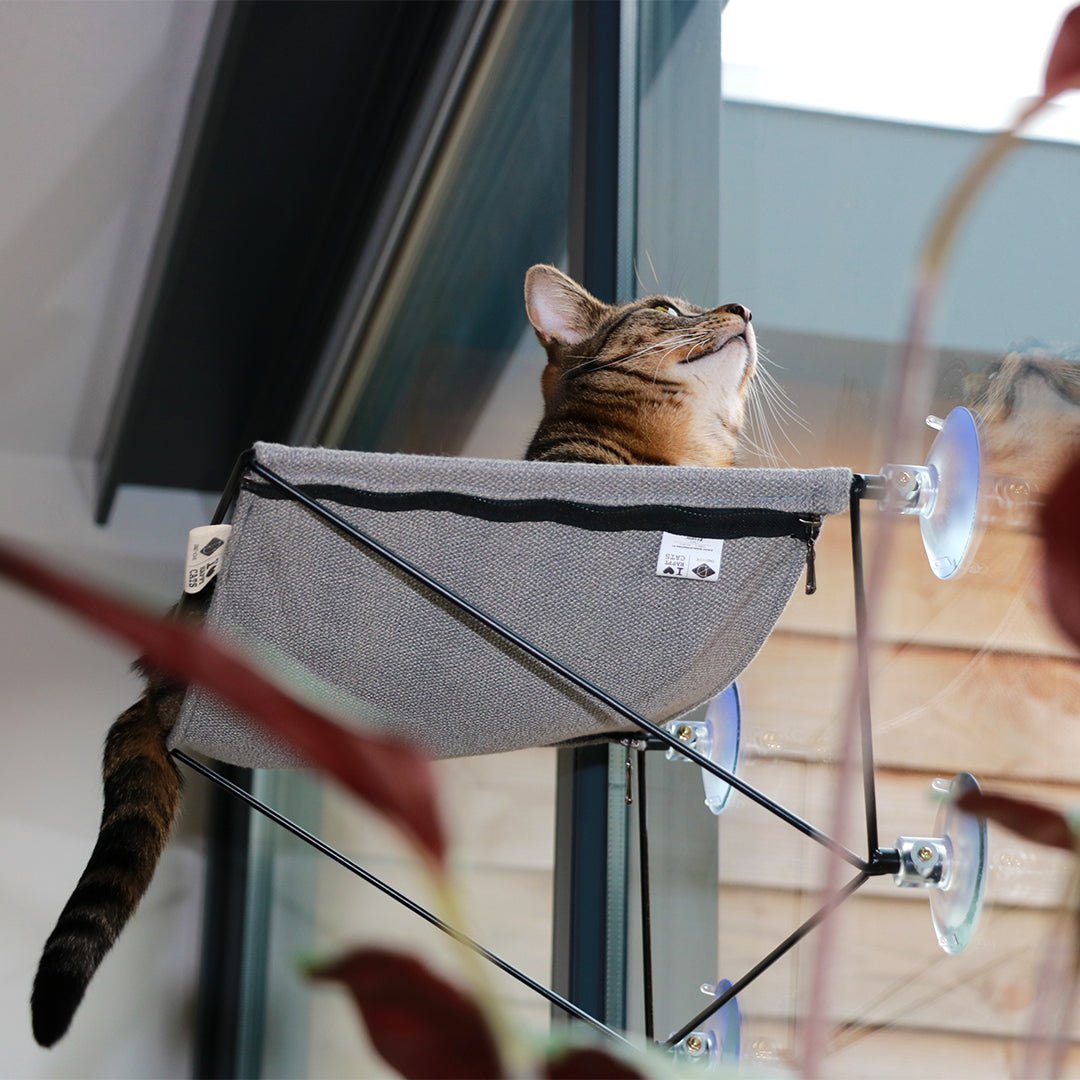 OLIVIA - Raamhangmat Kattenmanden D&D Home - I LOVE Happy Cats